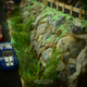 Illustration for article titled My Handmade Diorama For 1:64 Carsem/em